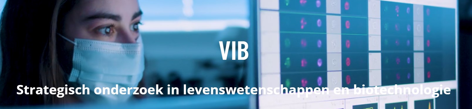 vib banner